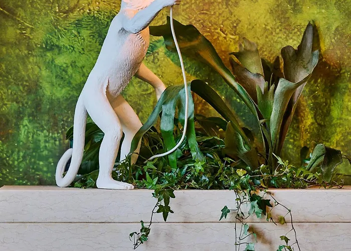 Nuvole Garden فندق